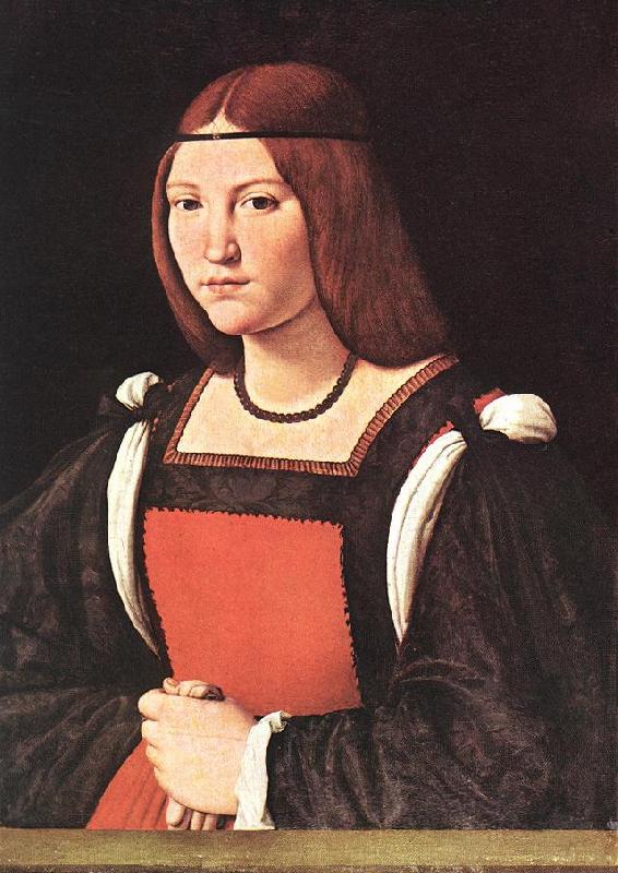 BOLTRAFFIO, Giovanni Antonio Portrait of a Young Woman 55 oil painting image